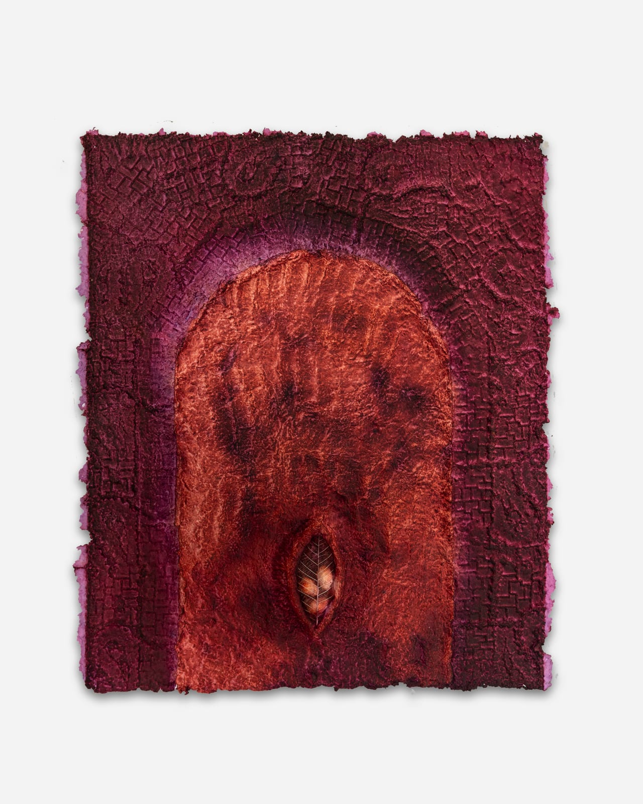 Aryana Minai, Nest XIII, 2025
