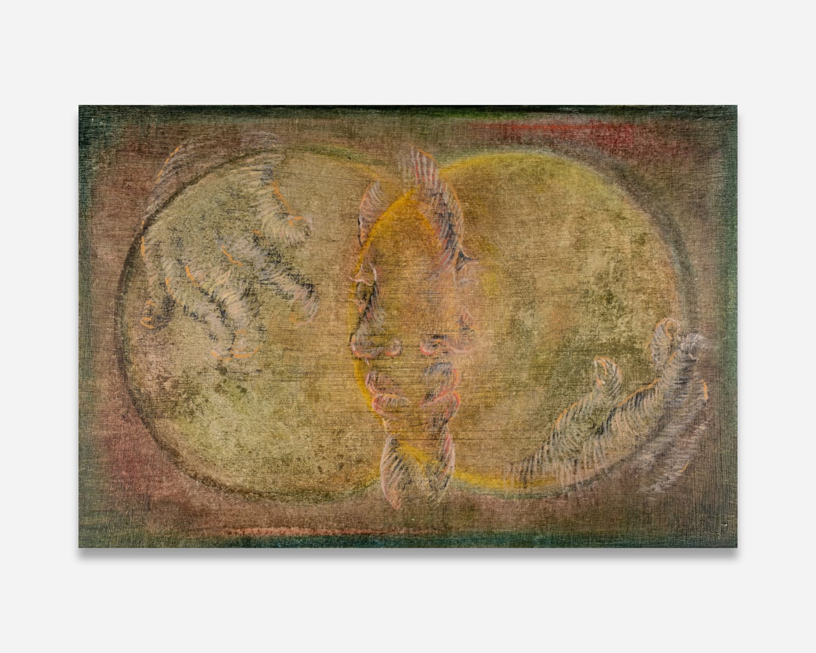 Alice Ningci Jiang, Venn Diagram, 2025