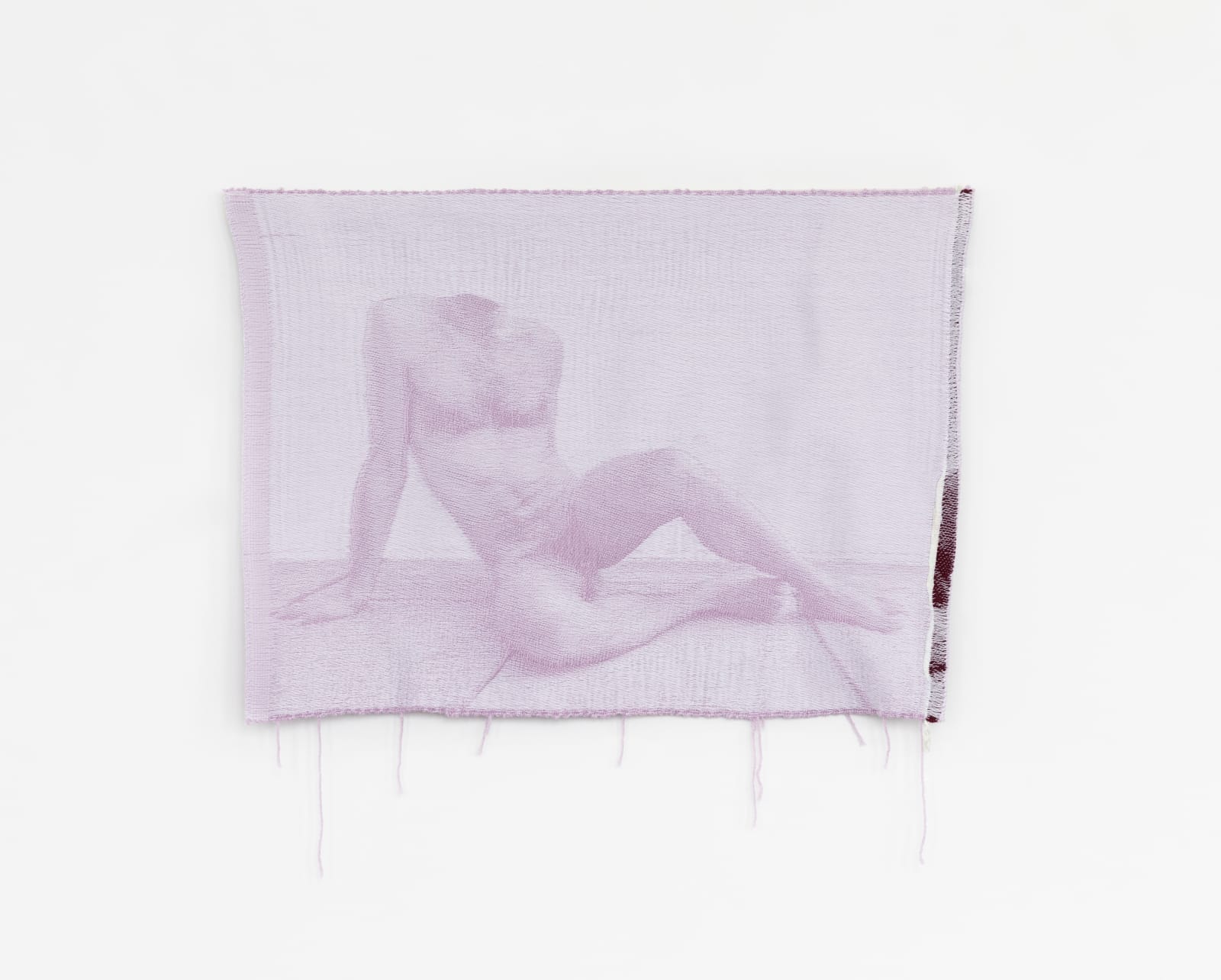 Mia Weiner, lavender dreams, 2024