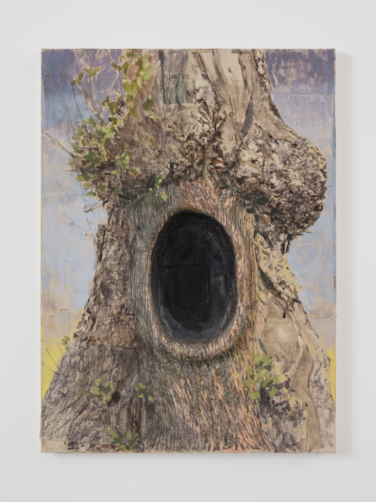 Shana Hoehn, Tree Hollow, 2025