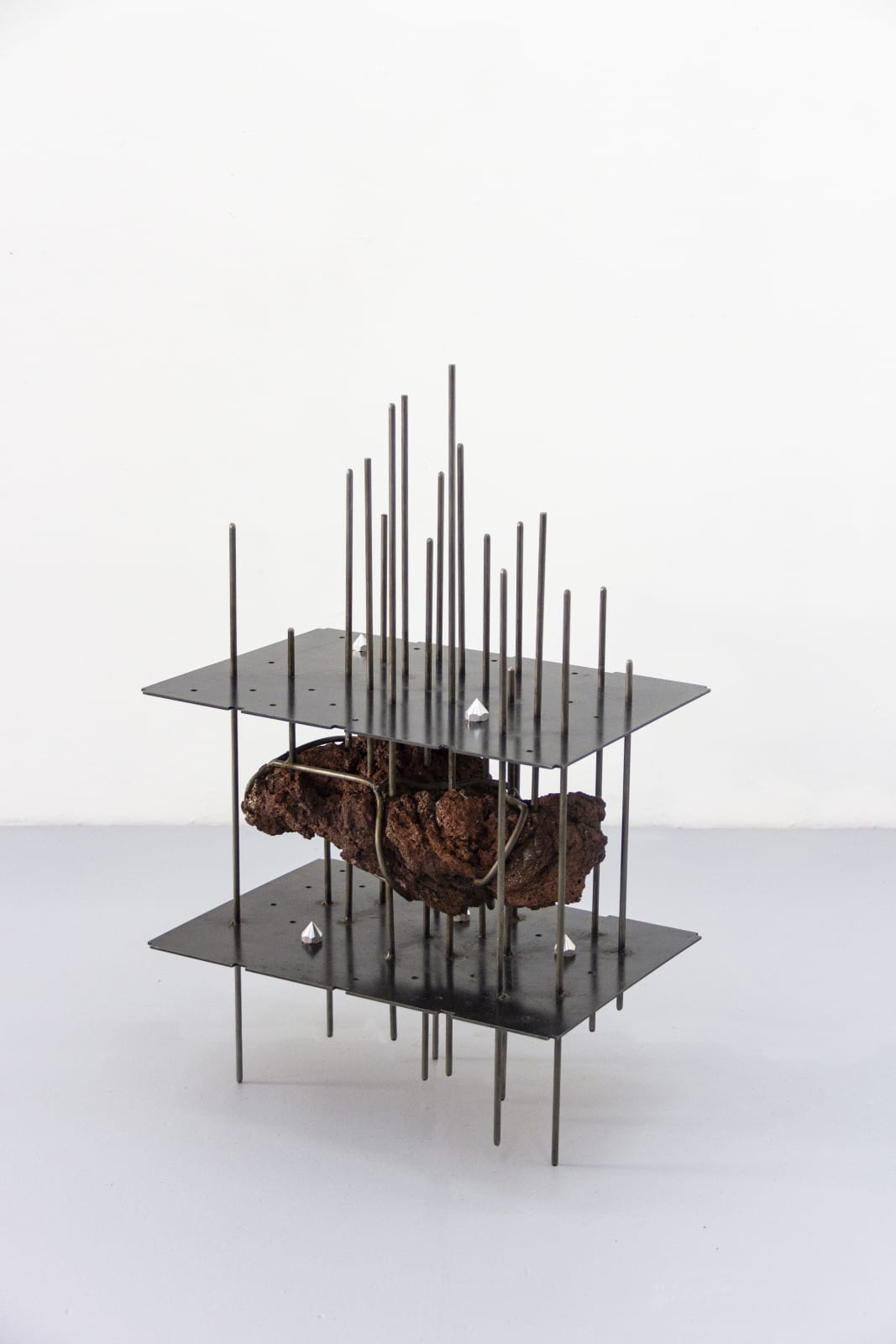 Yeni Mao, fig 39.7 bardo, 2024