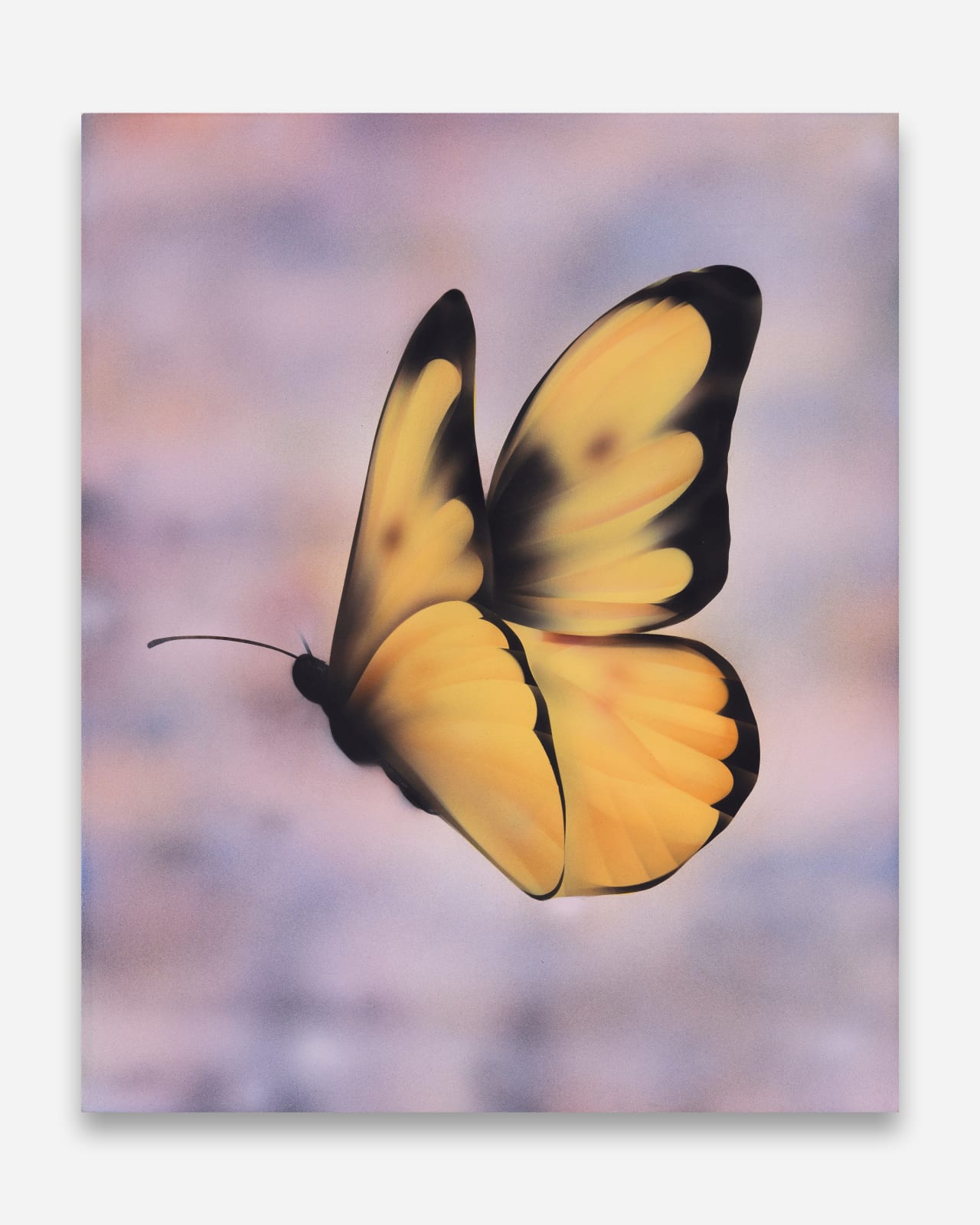 Aaron Jupin, Second Nature 3, 2024