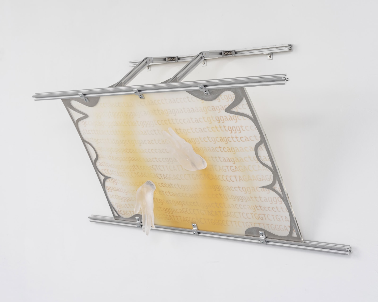 Xin Liu, An attempt to touch you, 2023