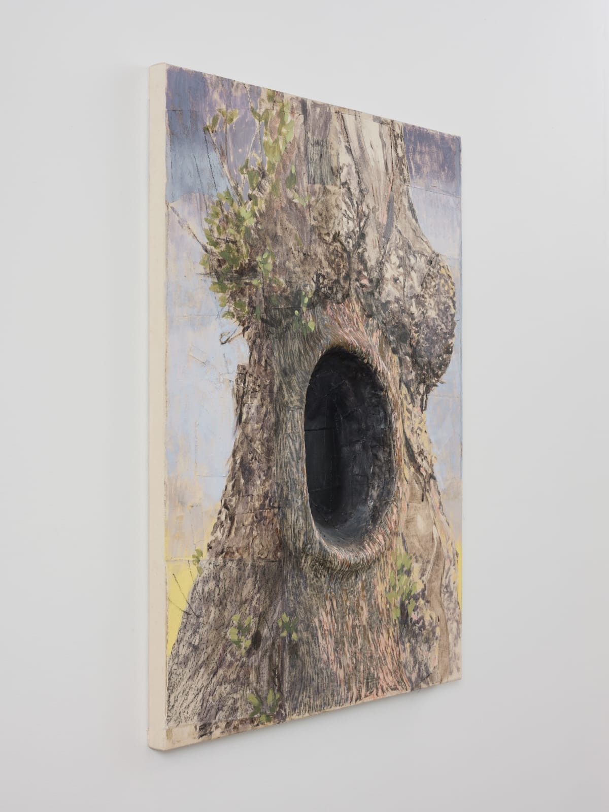 Shana Hoehn, Tree Hollow, 2025