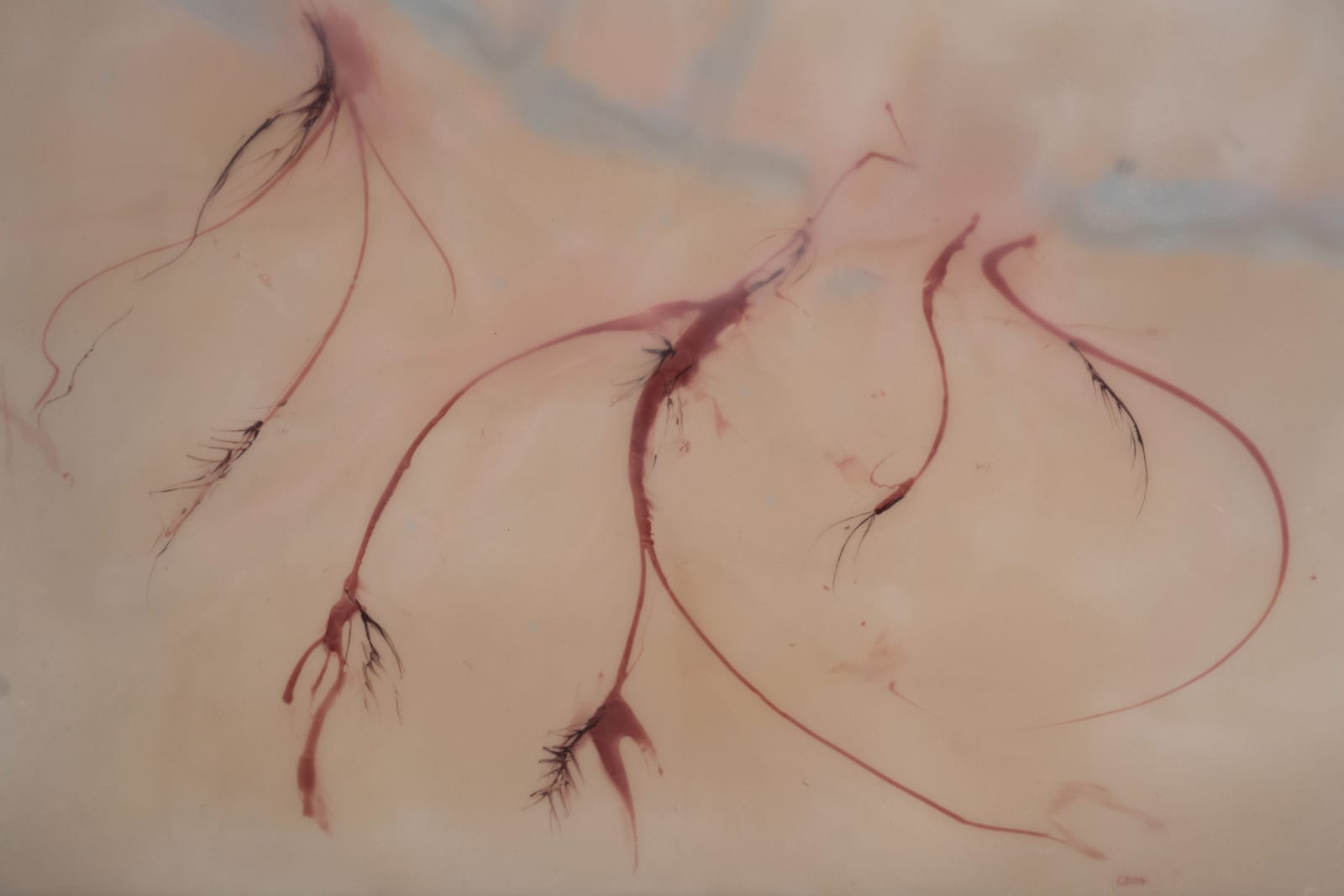 Xin Liu, Theatre of Metamorphosis, 2024