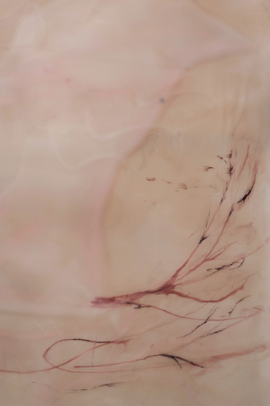 Xin Liu, Theatre of Metamorphosis, 2024