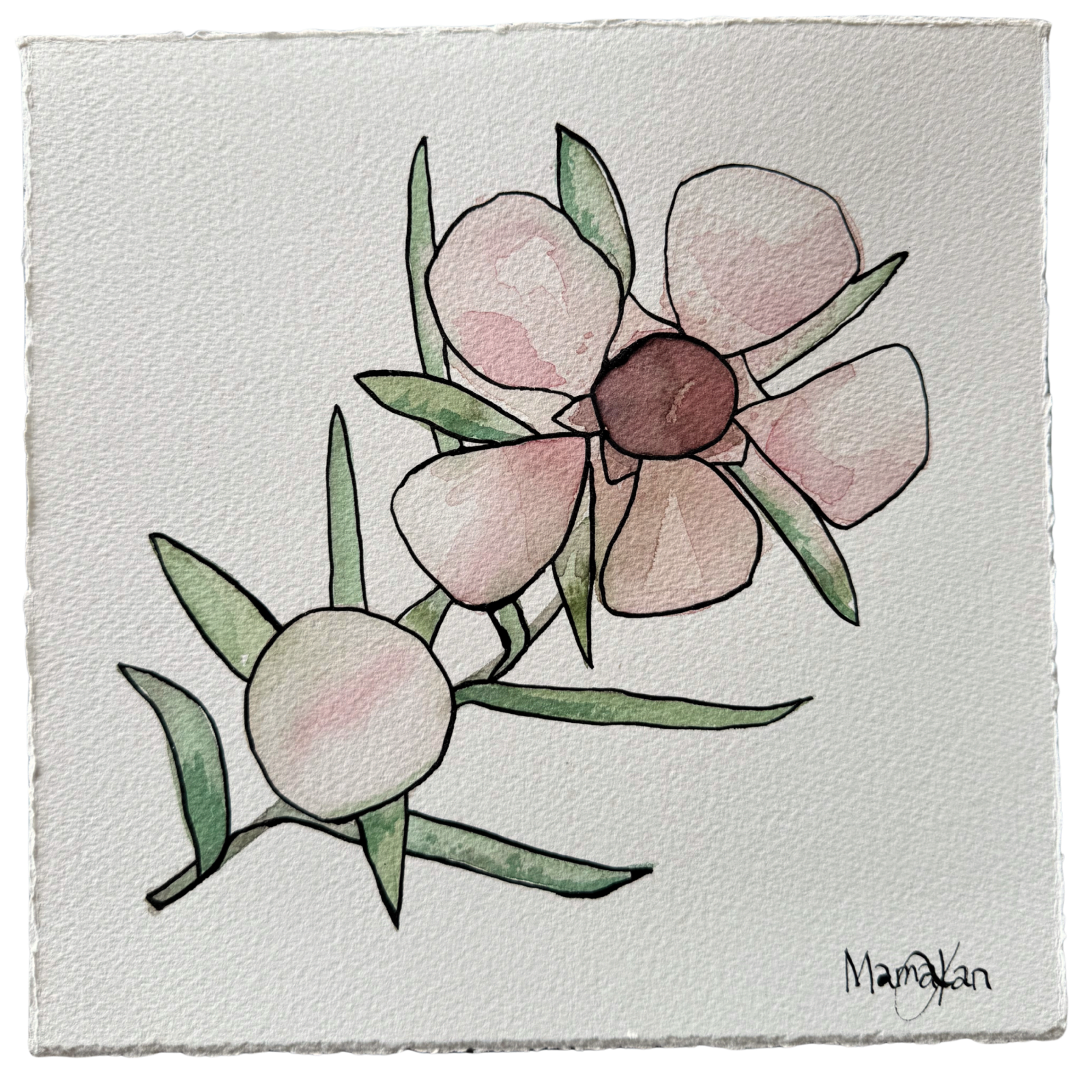 MAMAKAN, Mānuka One 2/3, 2025