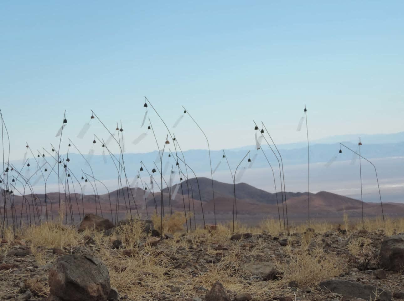 Animitas (Chili) a work by Christian Boltanski; a still from a video with wind chimes that resemble flowers in the ground