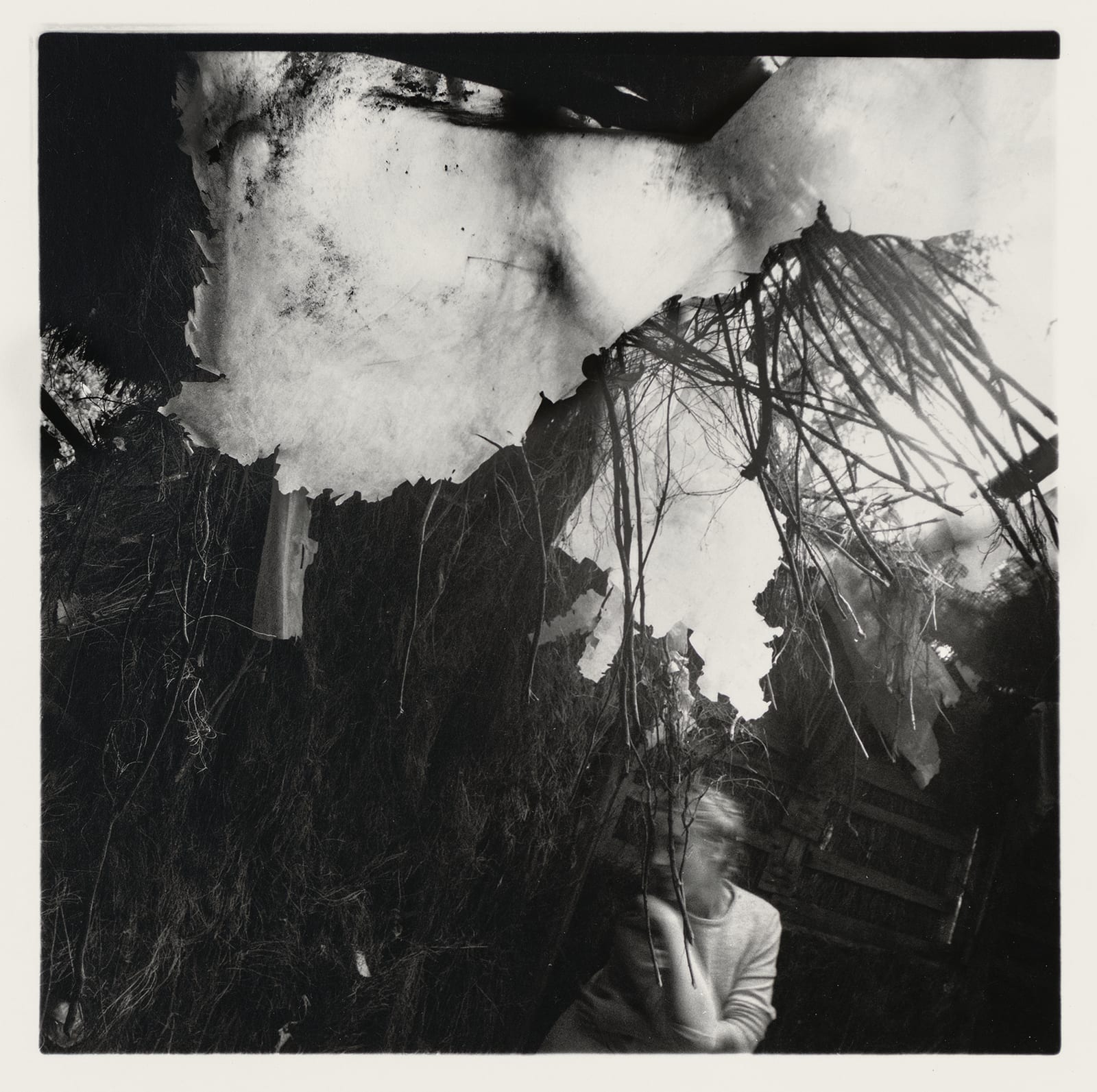 Francesca Woodman Alternate Stories