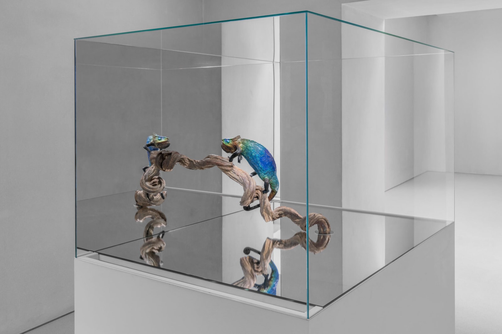 Agnieszka Kurant RECURSION