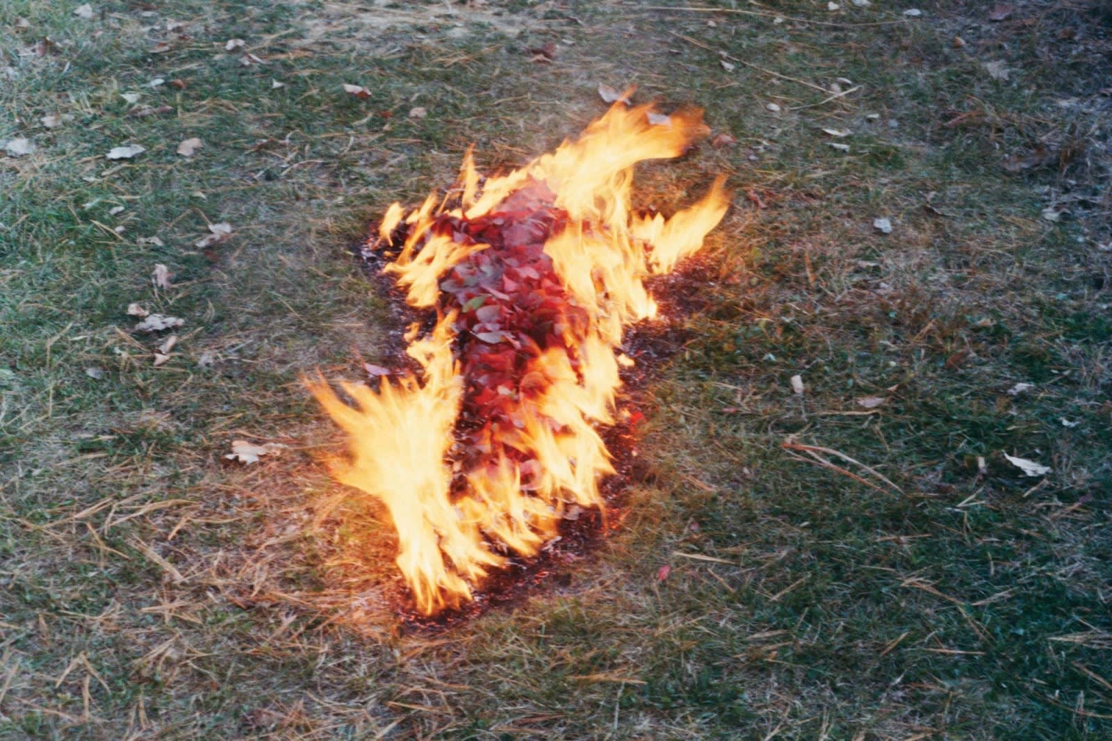 Ana Mendieta artwork - photograph of Silueta (Silhouette) series of the artist's silhouette in flames
