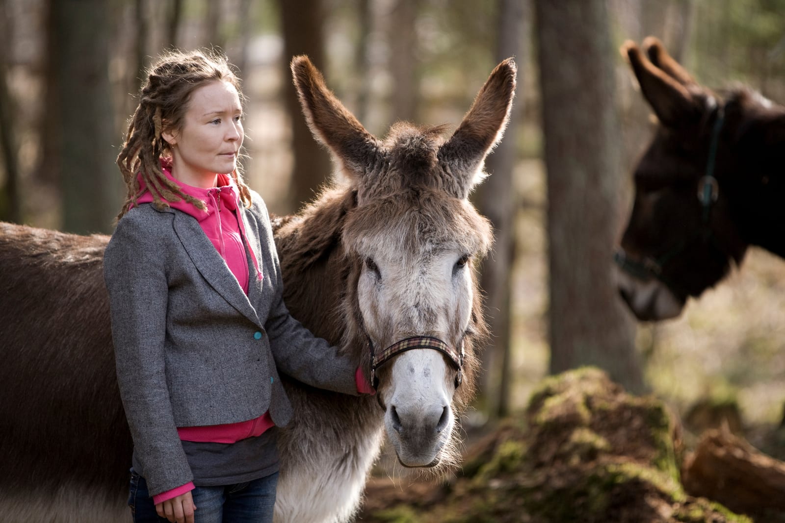 Eija-Liisa Ahtila The Annunciation
