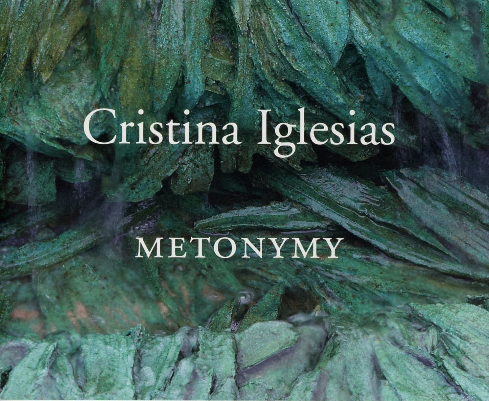 Cristina Iglesias Metonymy