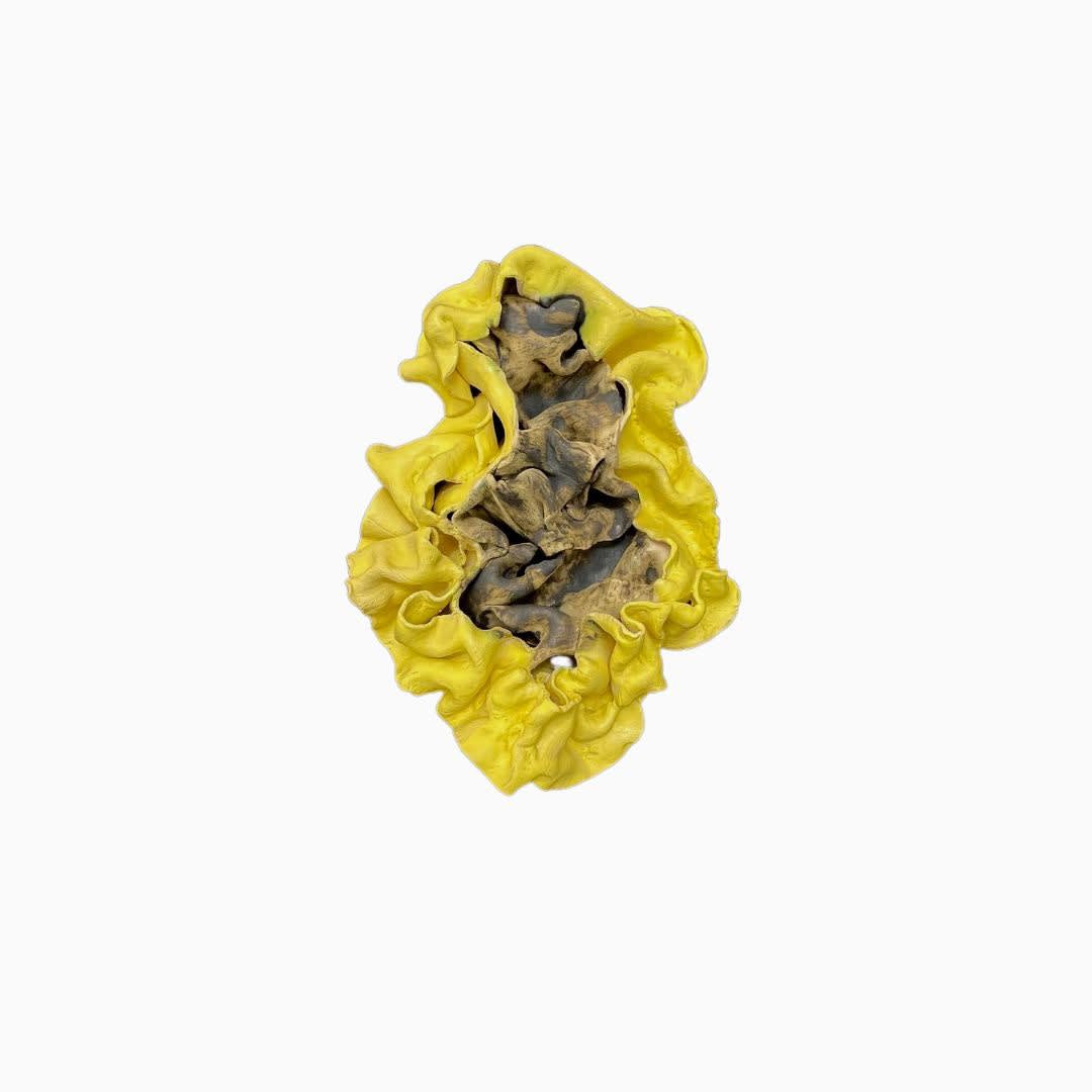 Mario Attard, Amarillo Soy Yo, 2023