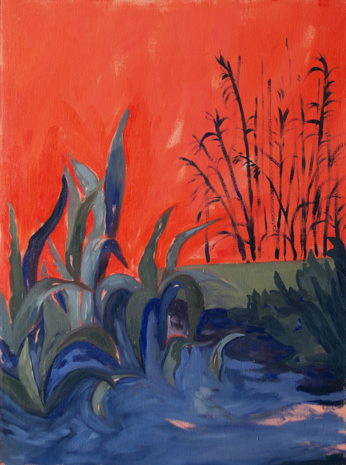 Jade Zammit, Slow Summers , 2022