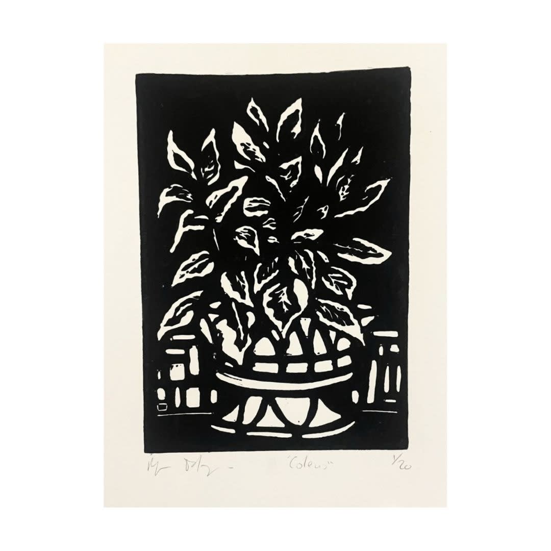 Ryan Falzon, Coleus , 2023