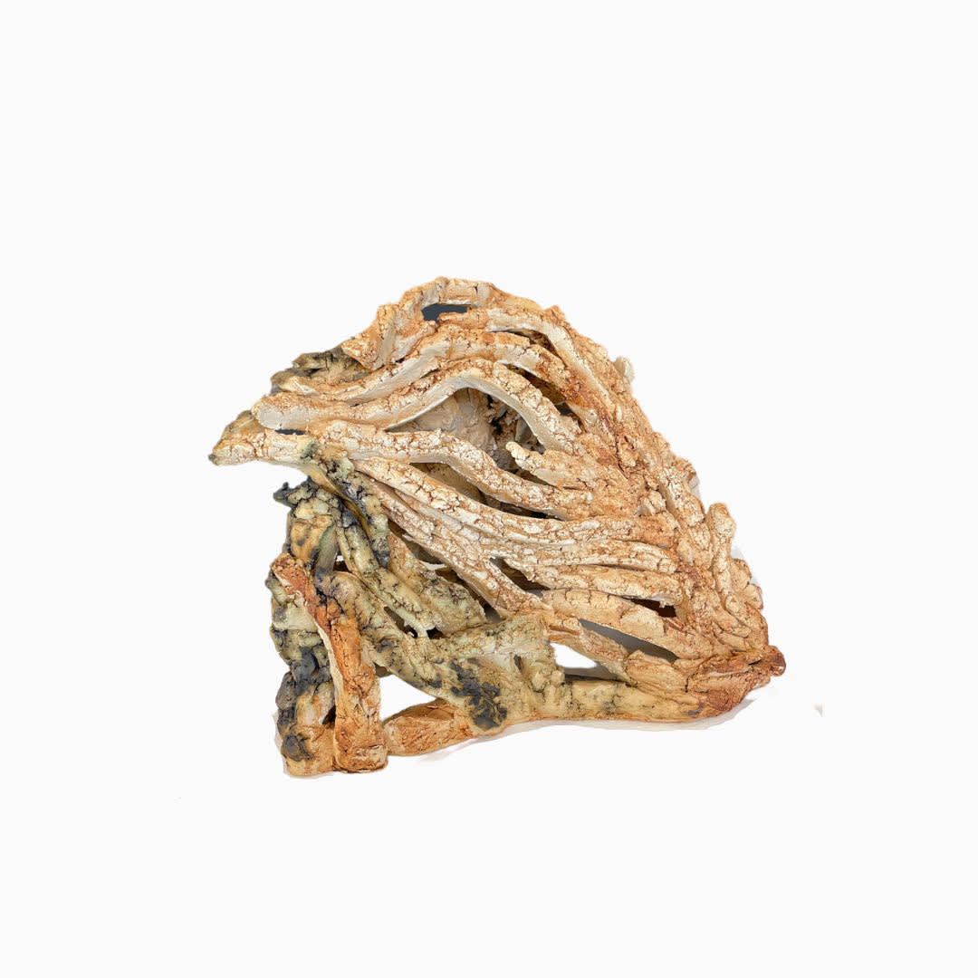 Mario Attard, Raises, 2022