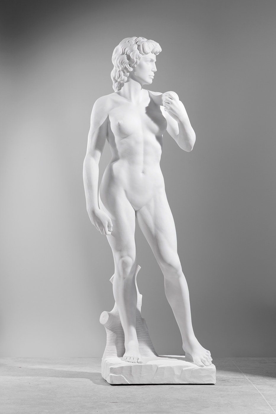 MICHELANGELO 2020 A TRIBUTE TO WOMEN