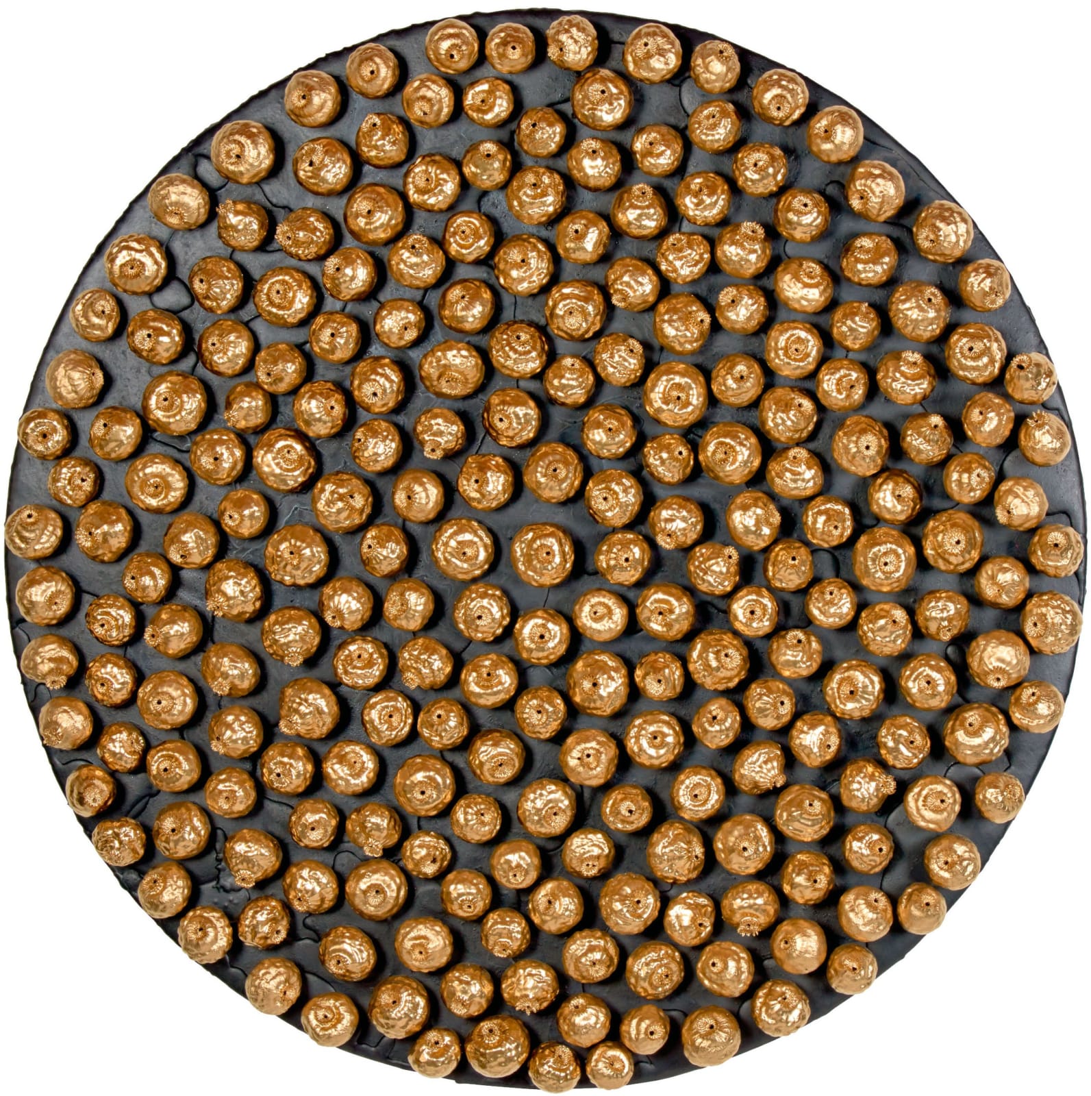 I FIORI DEL PIANTO, 2016