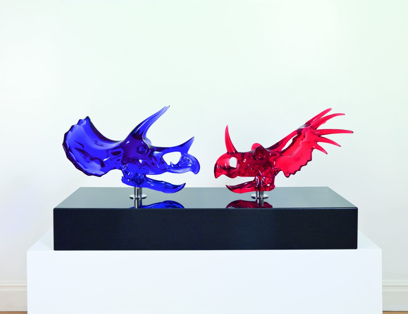 BEAUTY IS IN THE EYE OF THE BEHOLDER, 2009