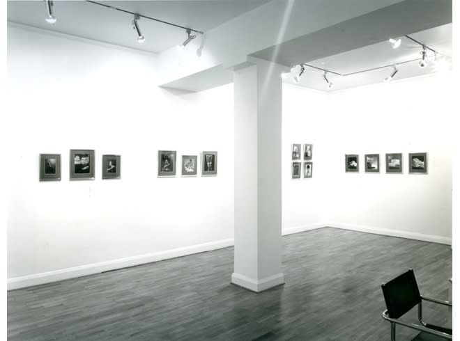 LANDSCAPES AND LADIES Installation View
