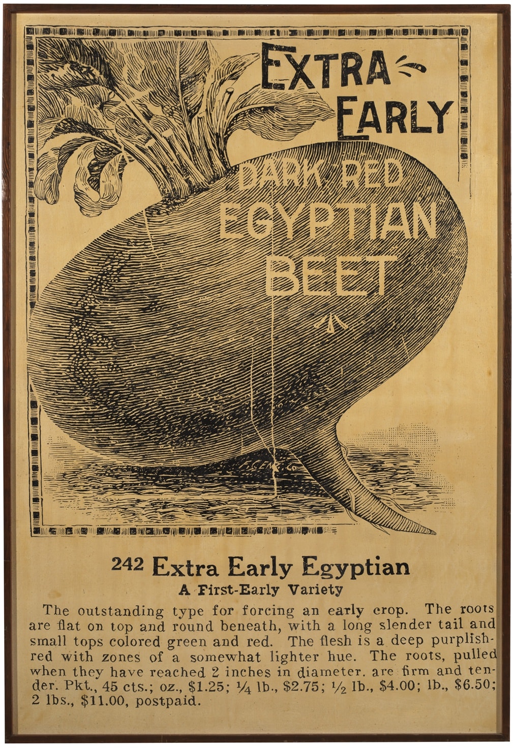 WALLY HEDRICK, Egyptian Beat, 1974