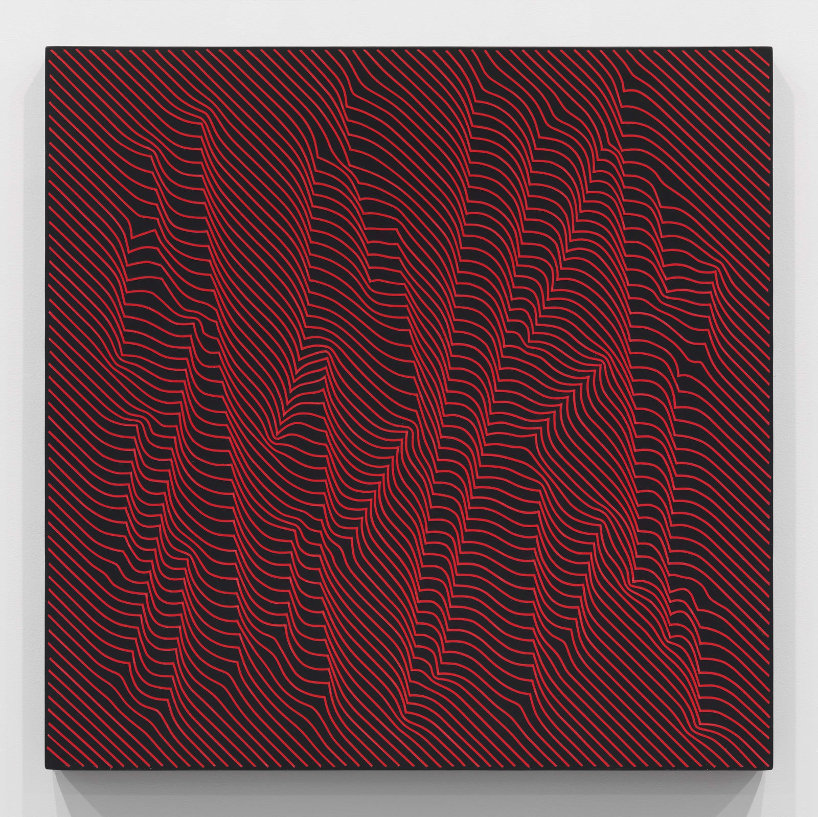 JULIAN STAŃCZAK, Woods, Warm Red Lights, 2009