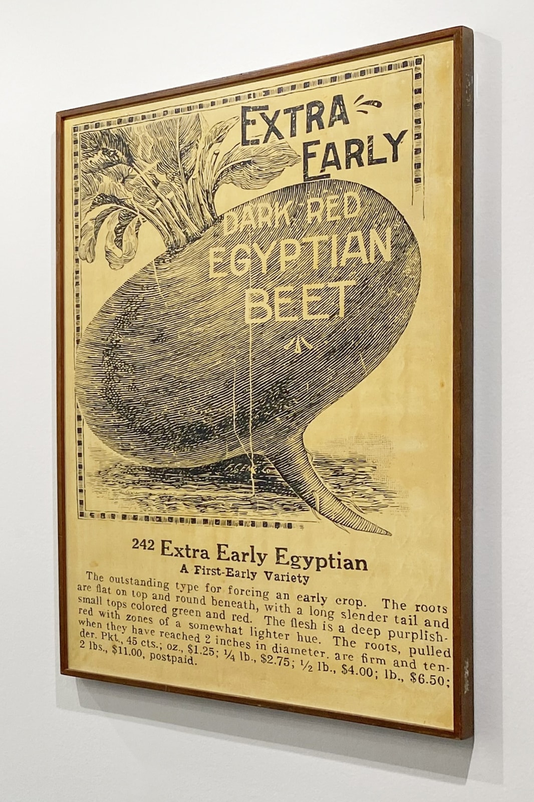 WALLY HEDRICK, Egyptian Beat, 1974