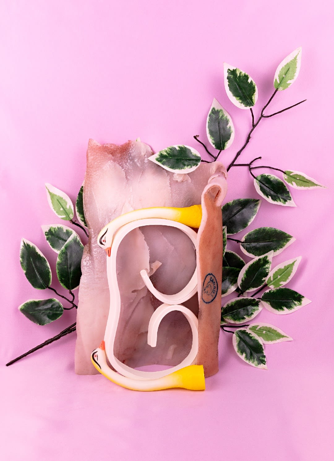 Michelle Bui, Two Swans, 2019