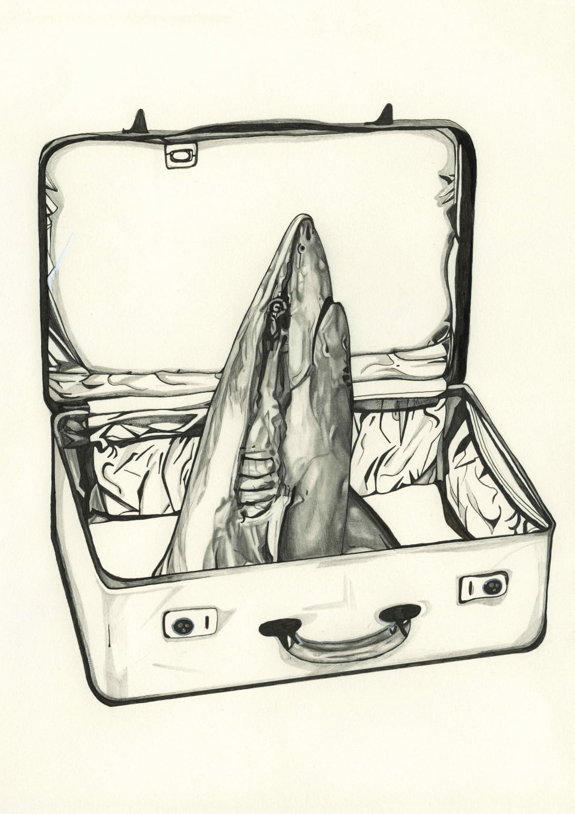Michelle Dalton Artist, Fins Wake, 2021