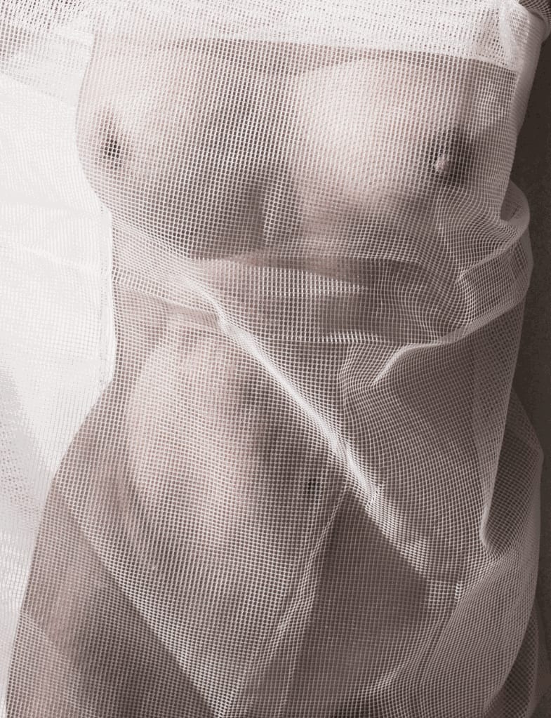 Dina Broadhurst, Entwined