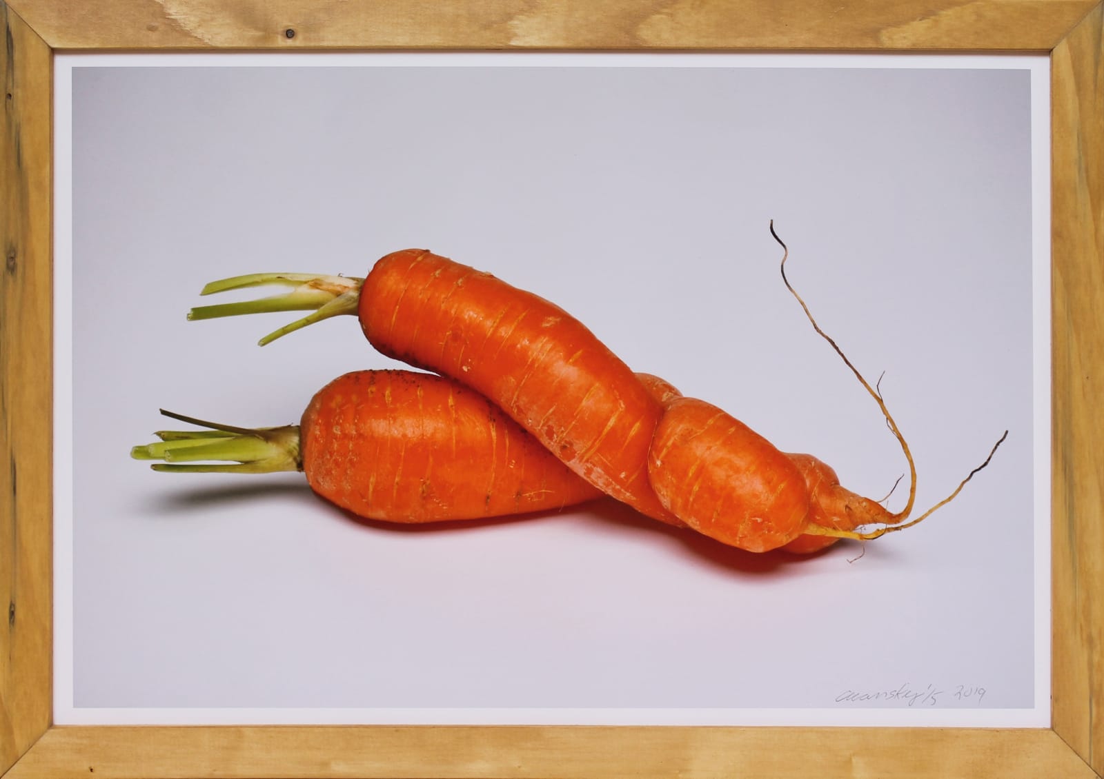 VICTOR CICANSKY, Garden Sex, 2019