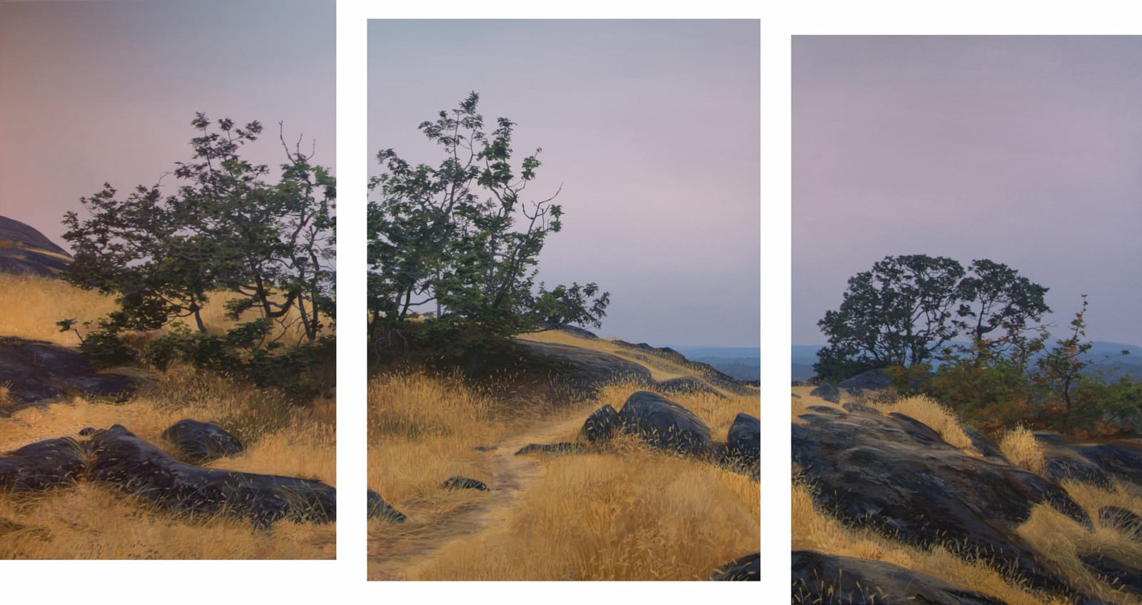 Nathan Birch, Garry Oak Meadow, Evening, 2017