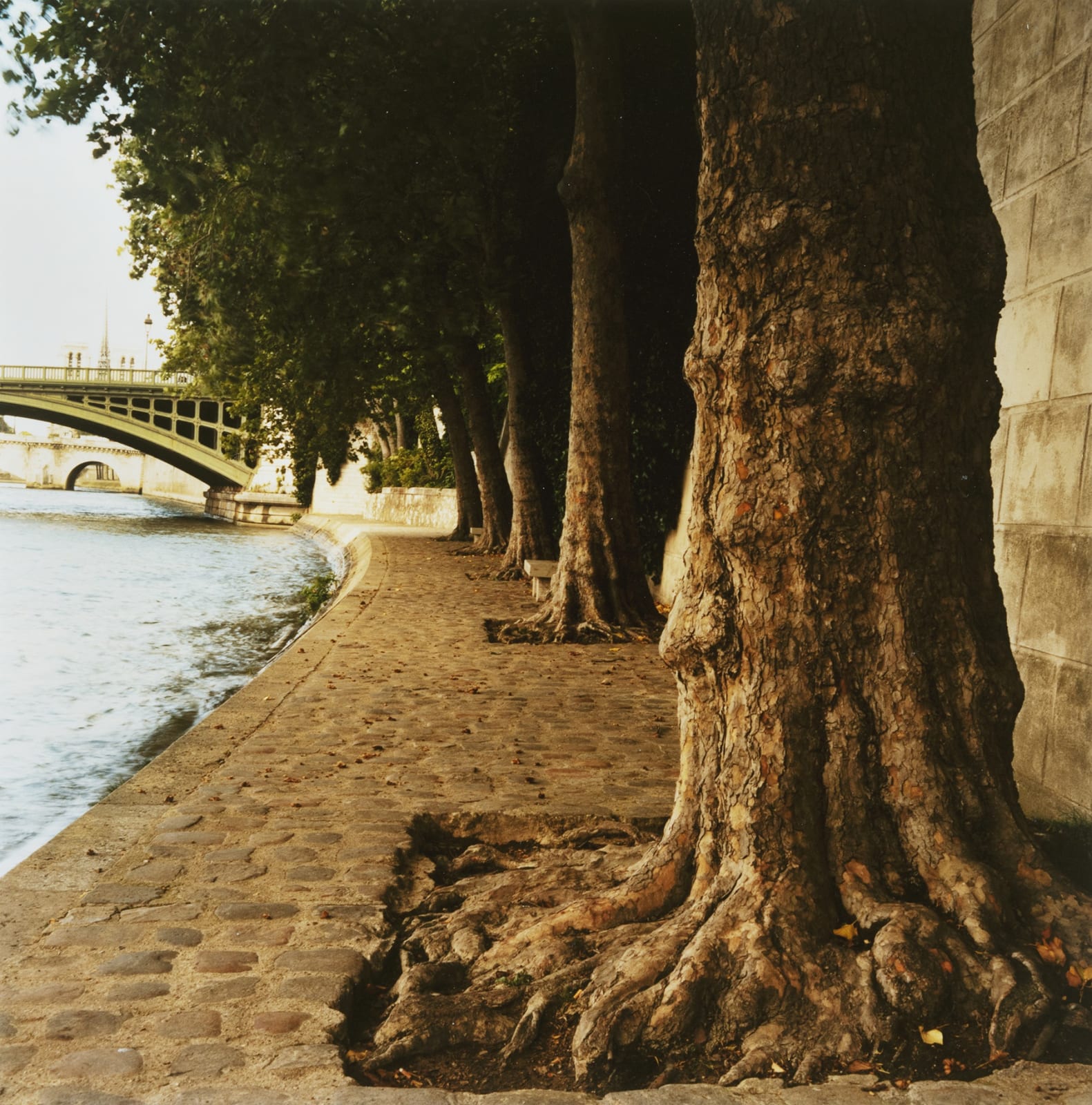 HUGH MARTIN, By the Seine #1, Square Barye, Paris, 2008