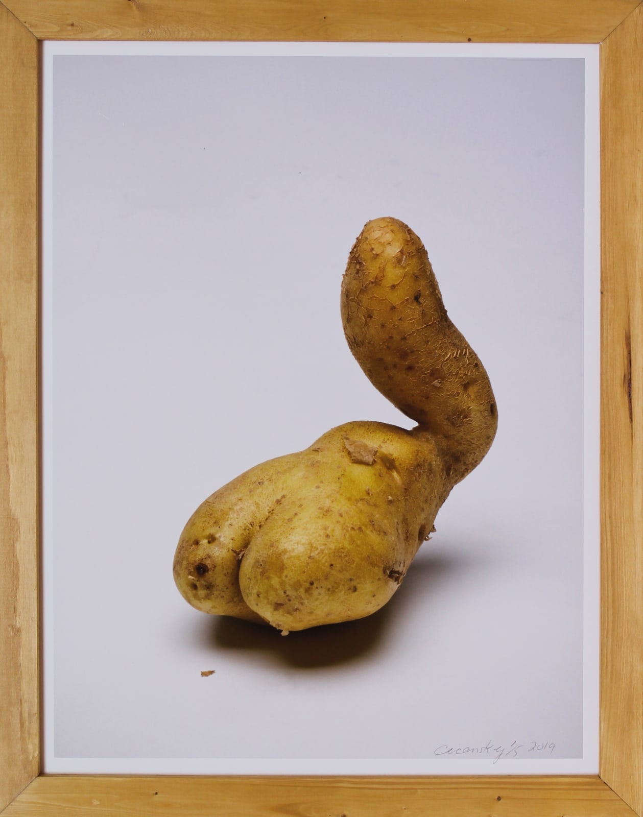 VICTOR CICANSKY, Take Me Home, 2019