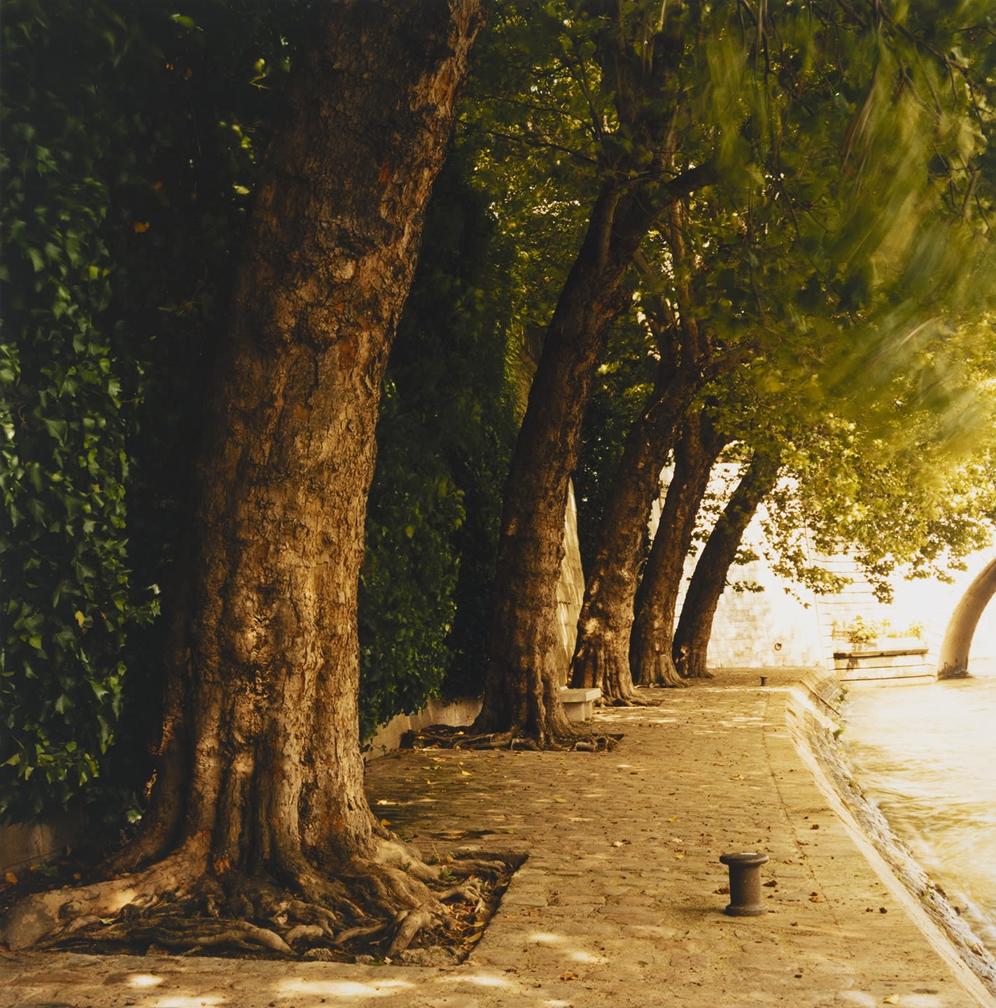 HUGH MARTIN, By the Seine #2, Square Barye, Paris, 2008