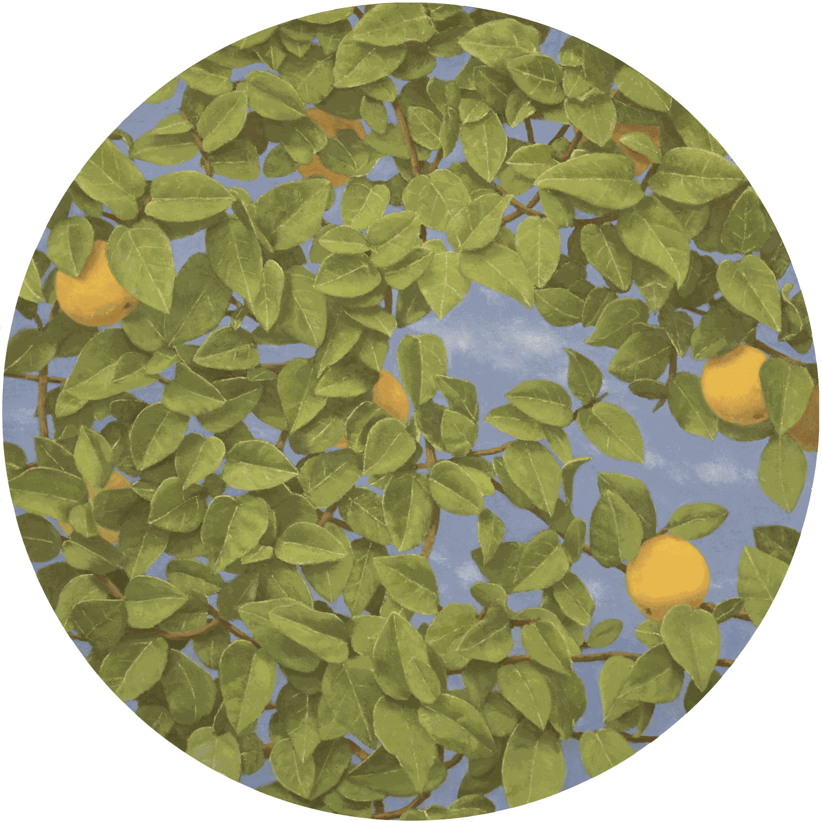 FABIAN JEAN, Fruit, Leaves, Sky, 2021