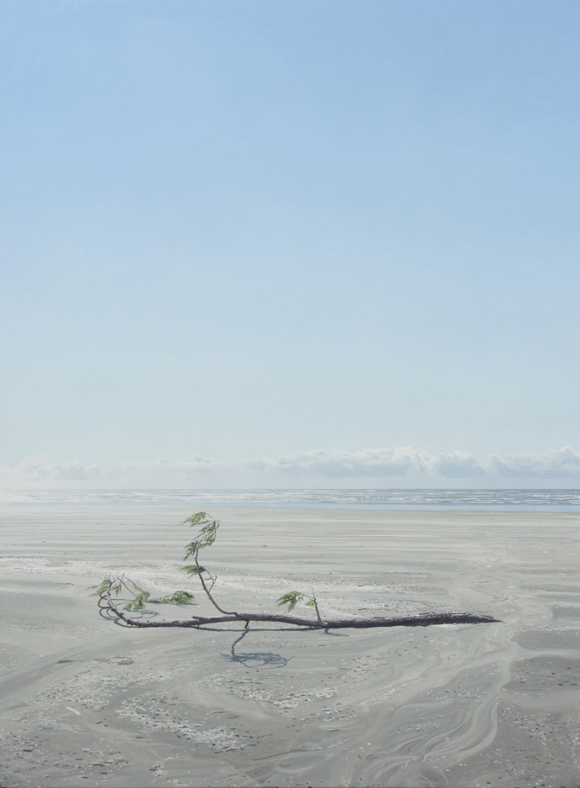 Nathan Birch, Beach and Branch at Low Tide, 2018