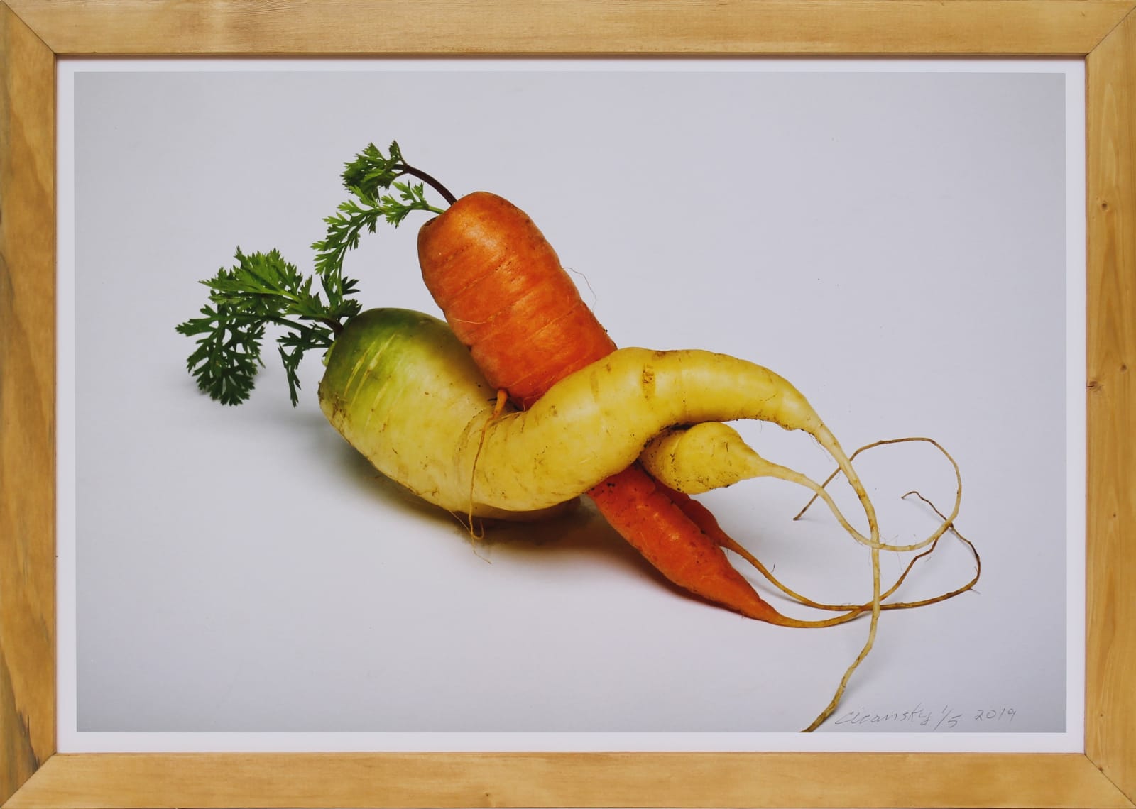 VICTOR CICANSKY, Sex in the Garden, 2019