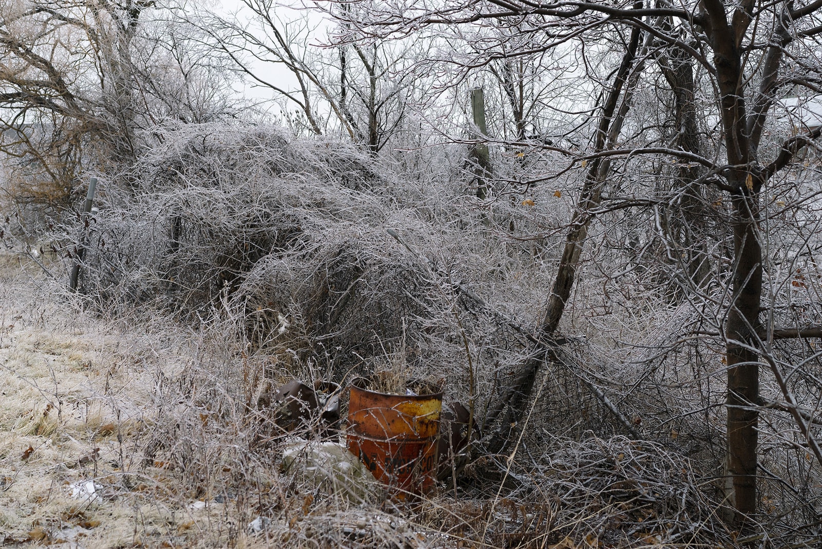 HUGH MARTIN, Ochre Drum, Hamilton, 2019