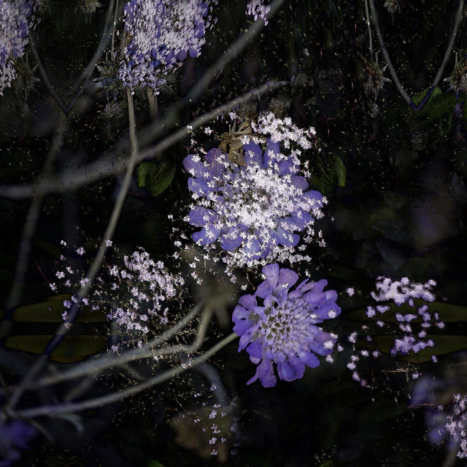 Valda Bailey, Beyond the Garden Wall, 2019