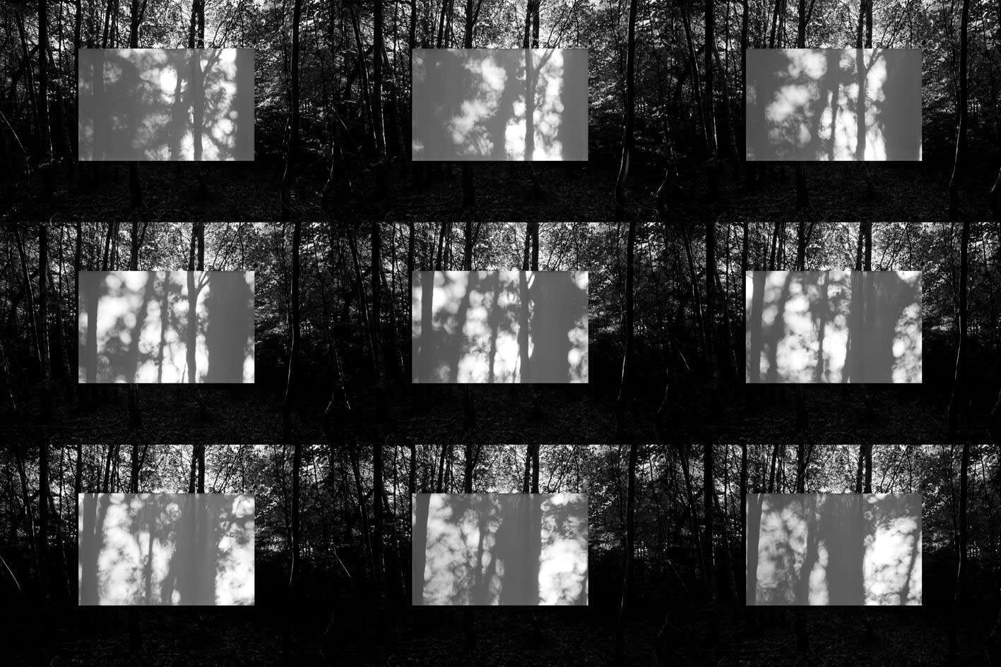 Neil Shirreff, Moving Shadows No. 1, 2009