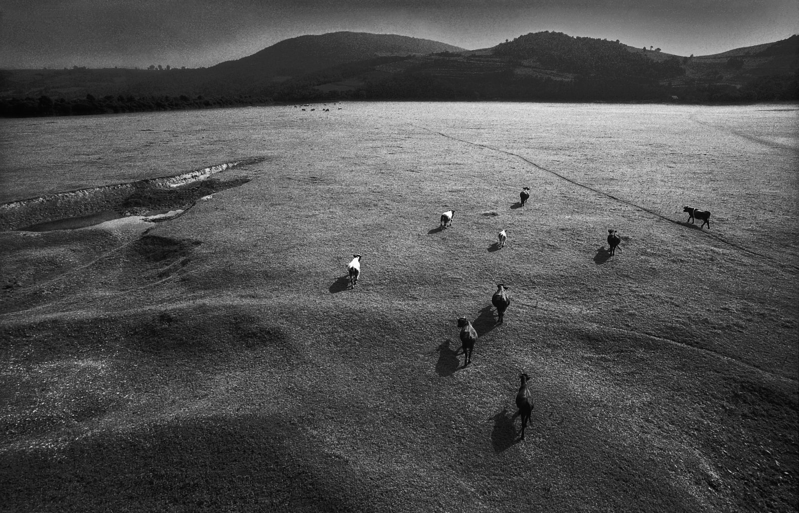 Michal Cala, Near Roznowsko lake, 1982