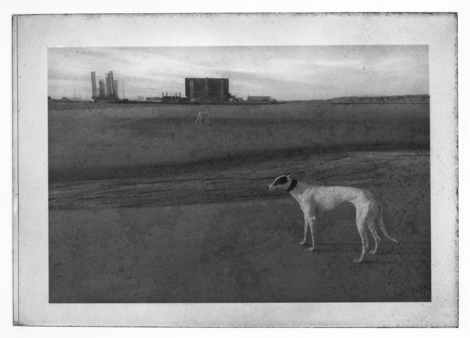 David George, Hartlepool Power Station with Elsie and Hector, 2018