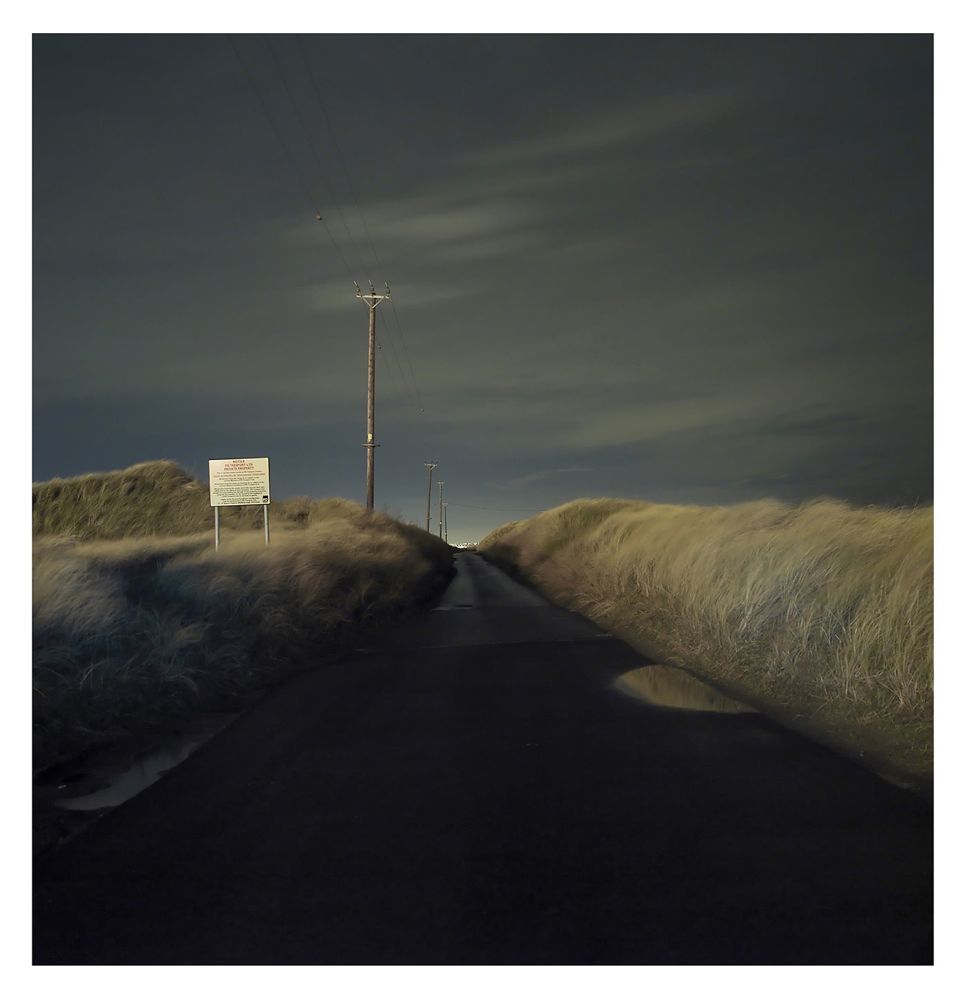 David George, #041, South Gare Access Road , 2009