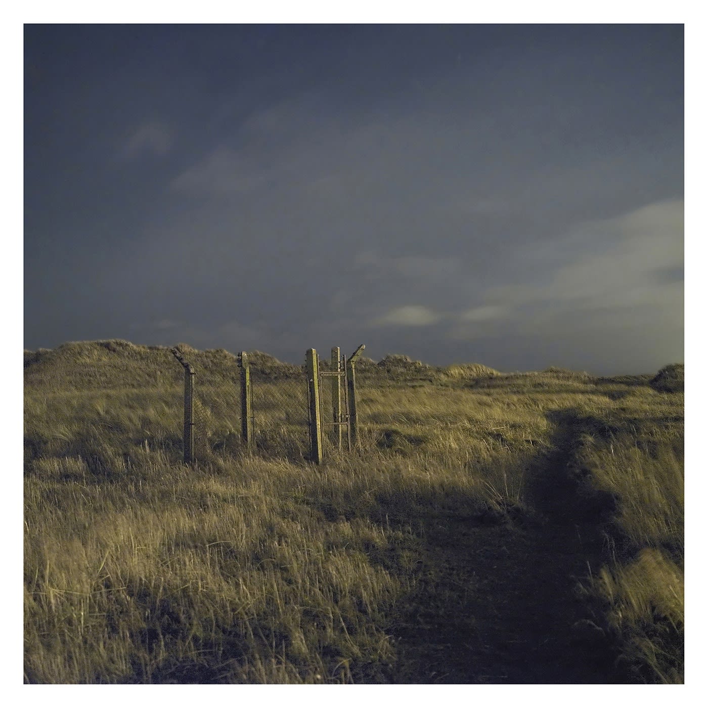 David George, #105, Warrenby Dunes, 2009