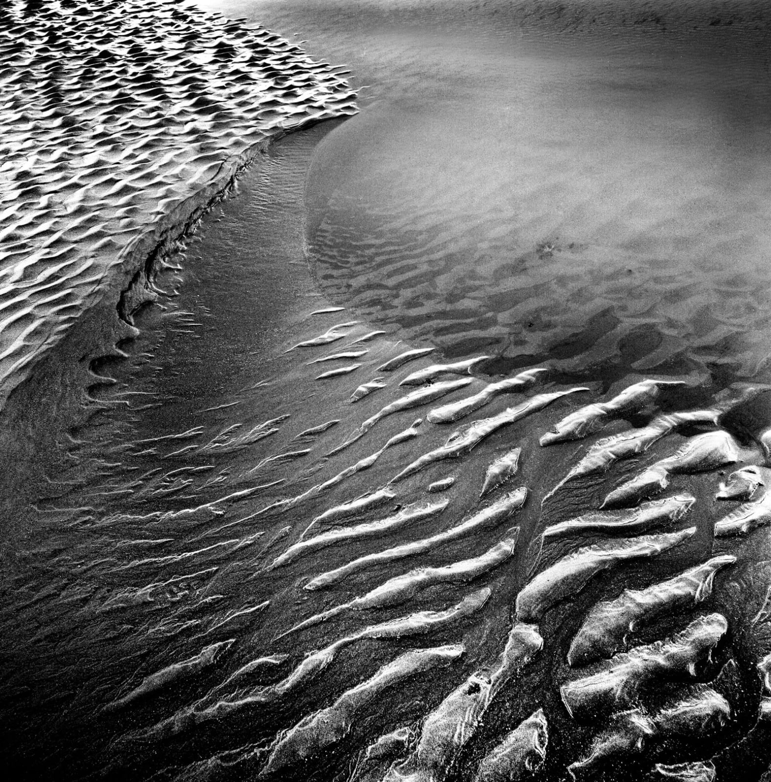 Michael Jackson, Poppit Sands #20, 2011 - 2014