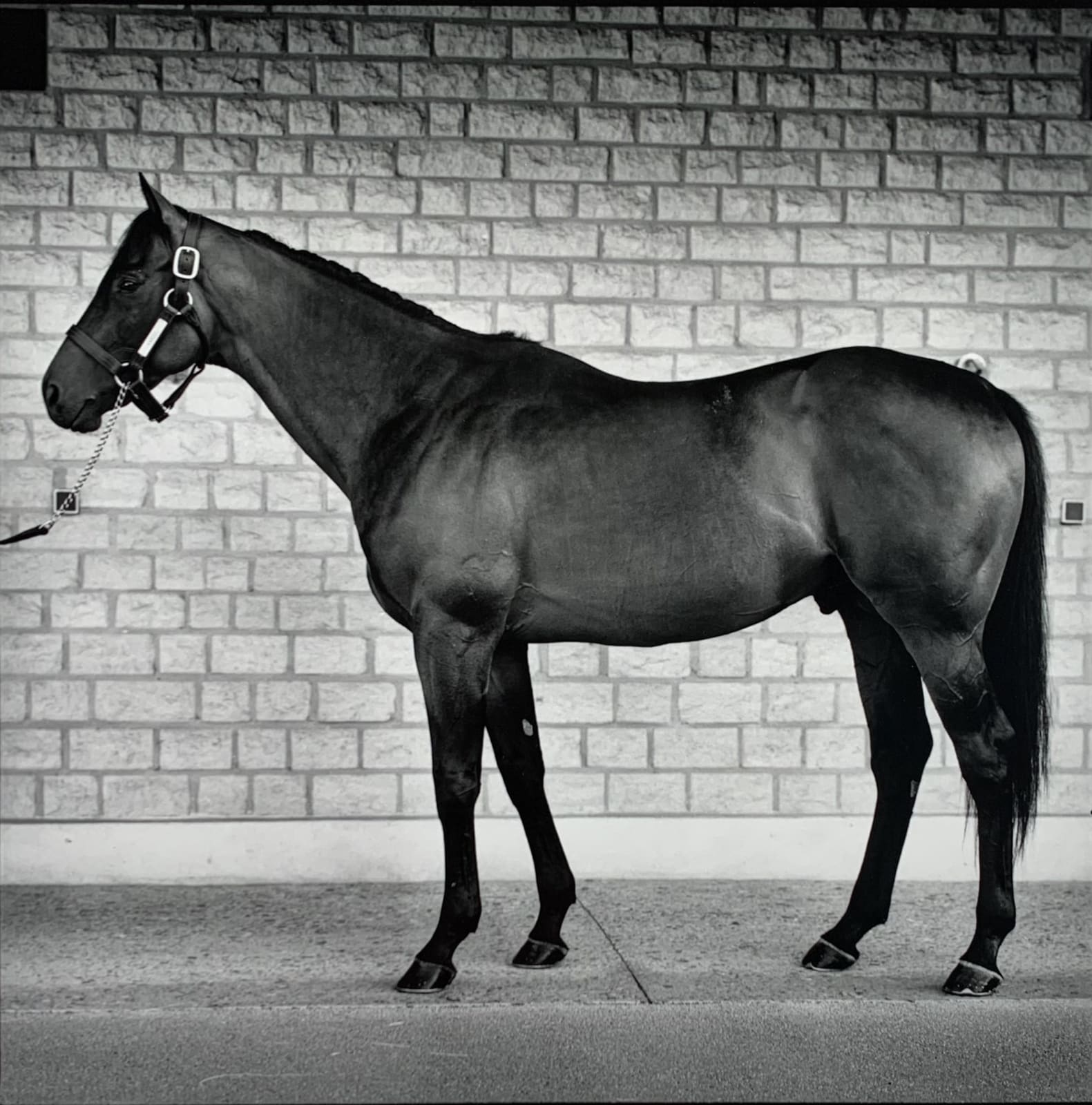 John Reardon, Kabool, 2001