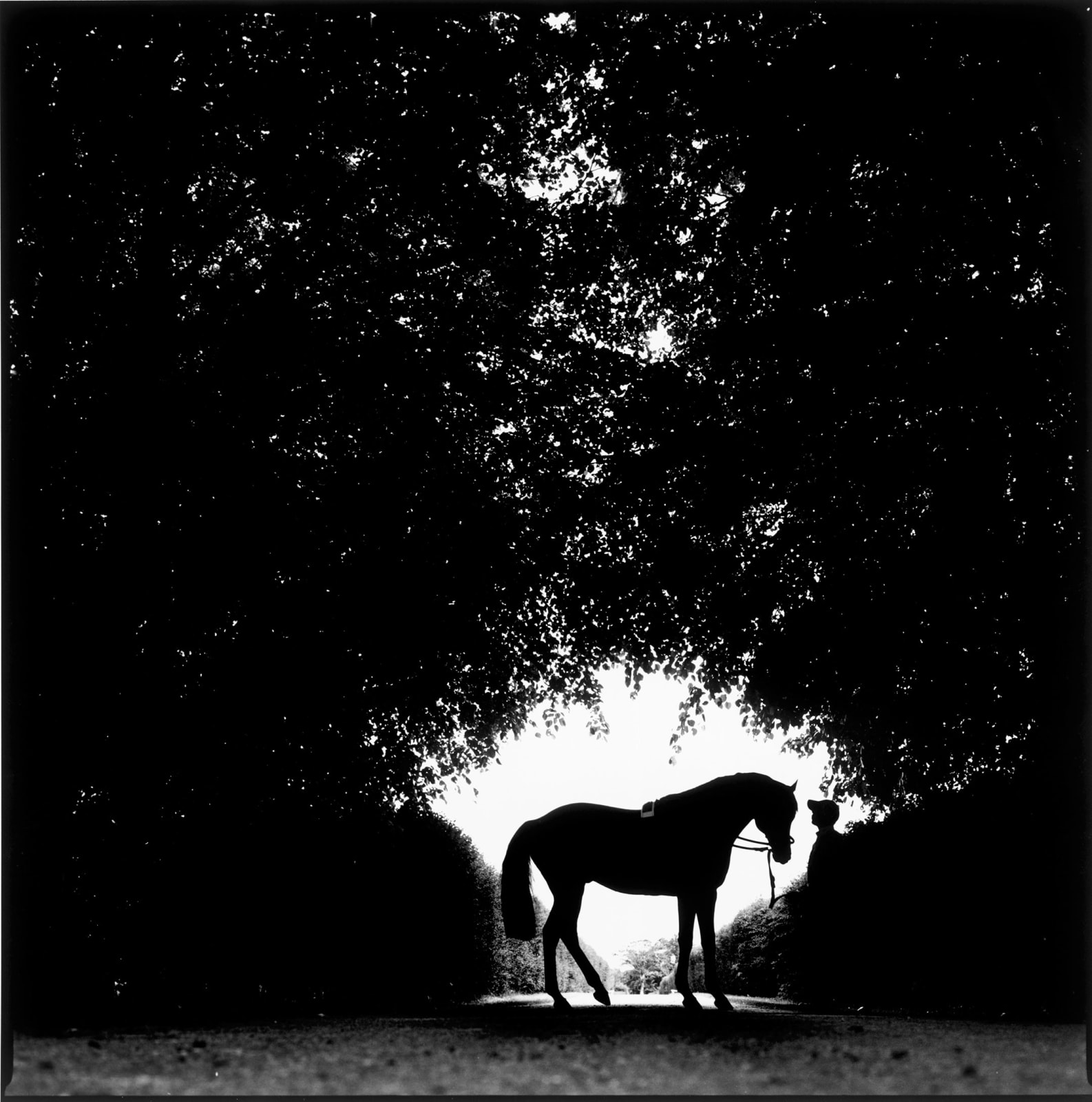 John Reardon, Mark of Esteem, 'Silhouette' , 2001