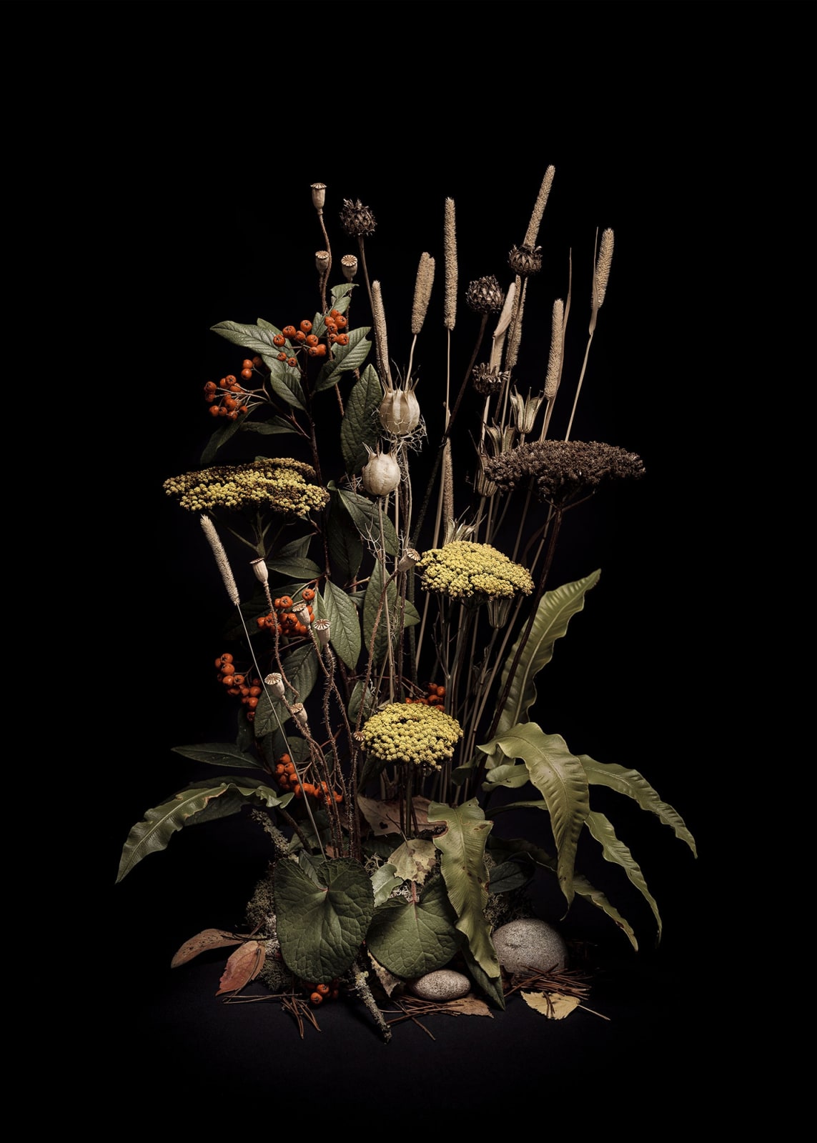 Jasper Goodall, DarkFlora #3 - Hart's Tongue Fern, 2019